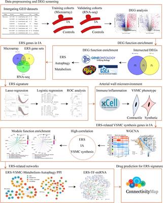 Comprehensive Analysis of Endoplasmic Reticulum Stress in Intracranial Aneurysm